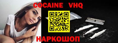 стаф Гатчина