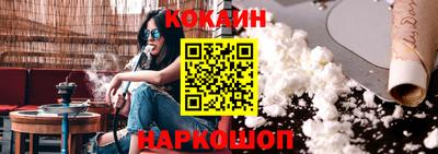 стаф Гатчина