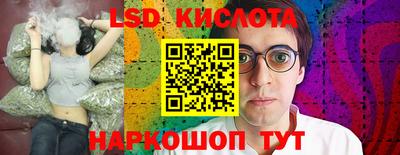 стаф Гатчина