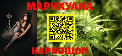стаф Гатчина